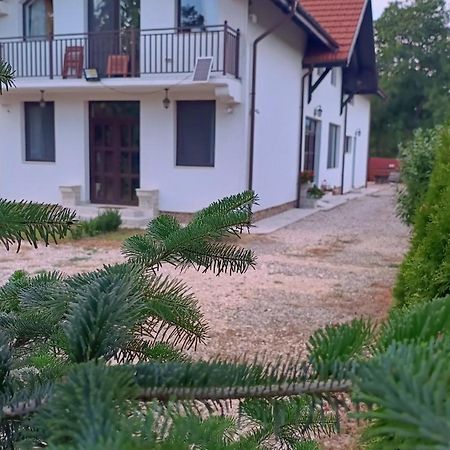 Pensiunea Crețișoara Câmpulung Exterior foto