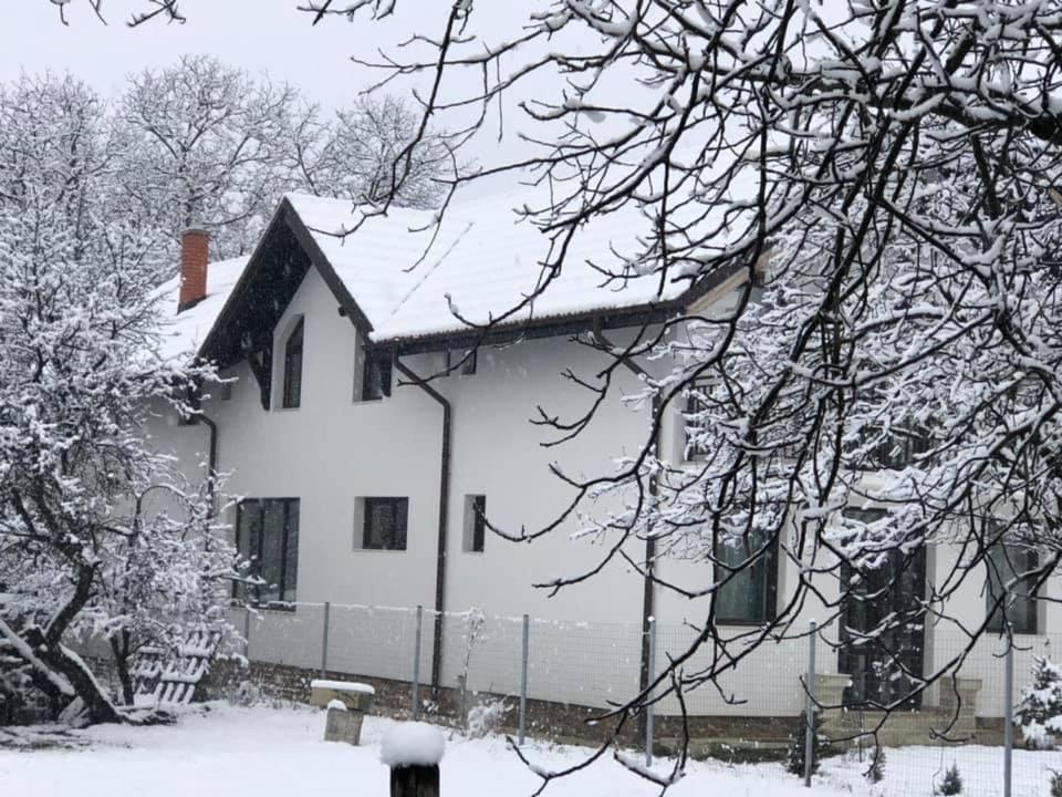 Pensiunea Crețișoara Câmpulung Exterior foto