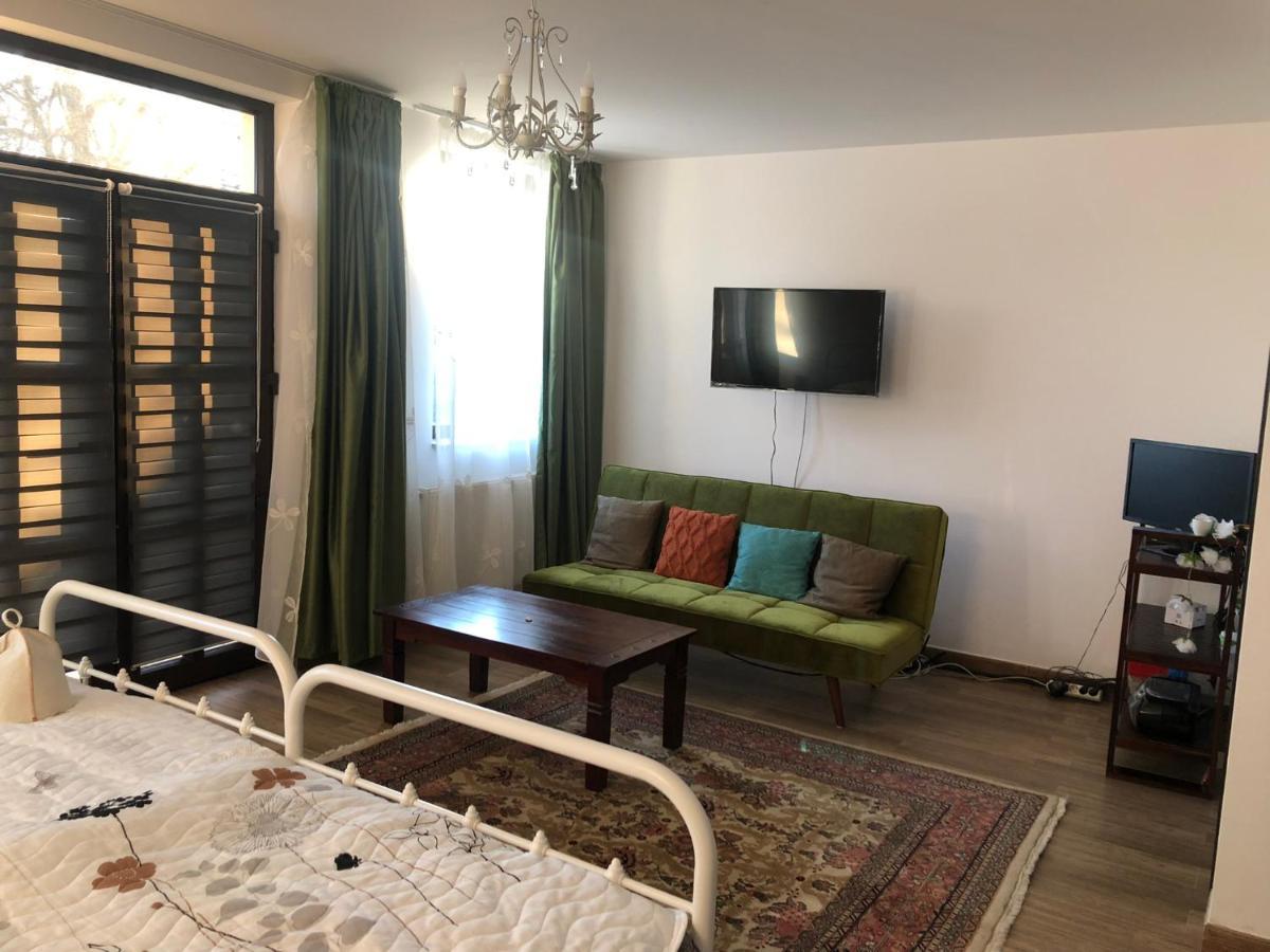 Pensiunea Crețișoara Câmpulung Exterior foto