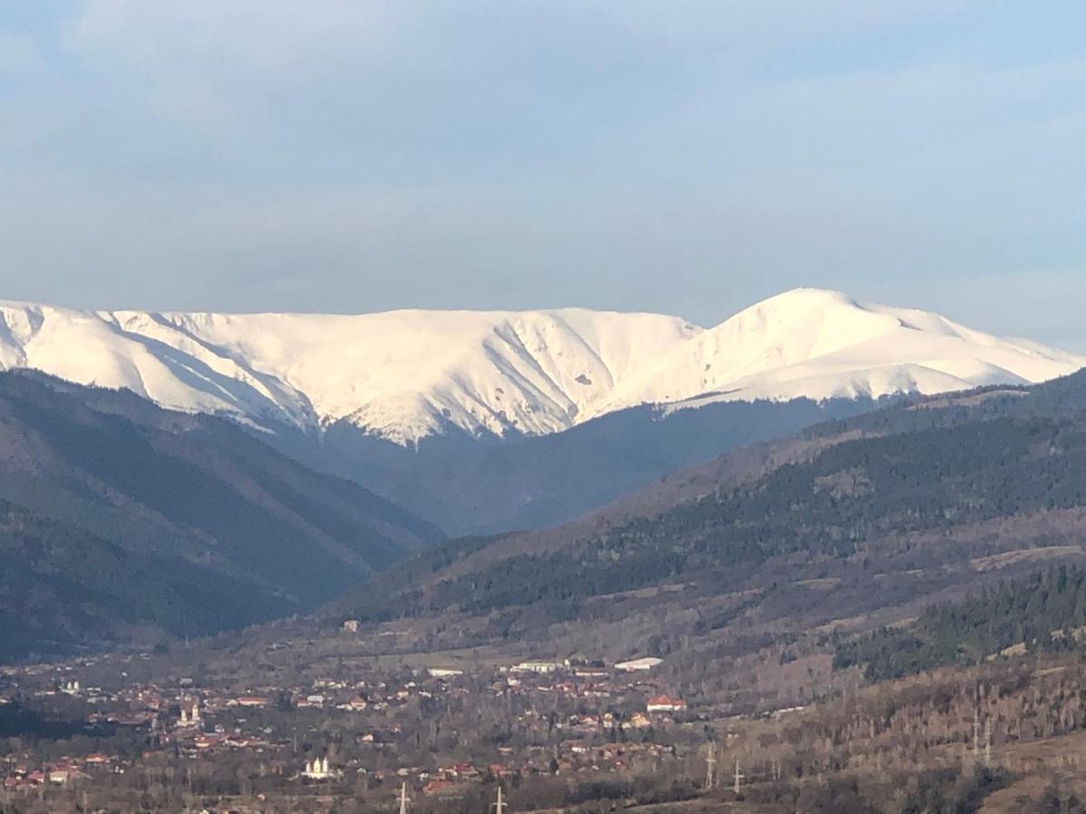 Pensiunea Crețișoara Câmpulung Exterior foto