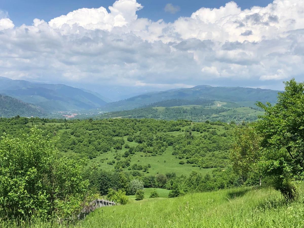 Pensiunea Crețișoara Câmpulung Exterior foto